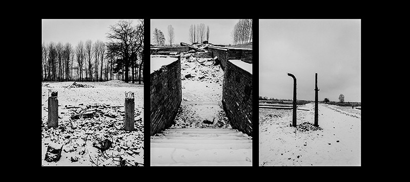 White silent hell 1
